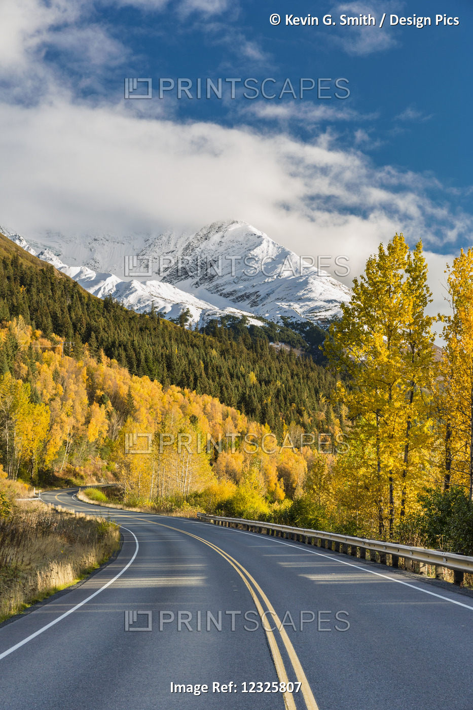 Snow-Capped Kenai Mountains Dwarf The Seward Highway, Trees Covered In Yellow ...