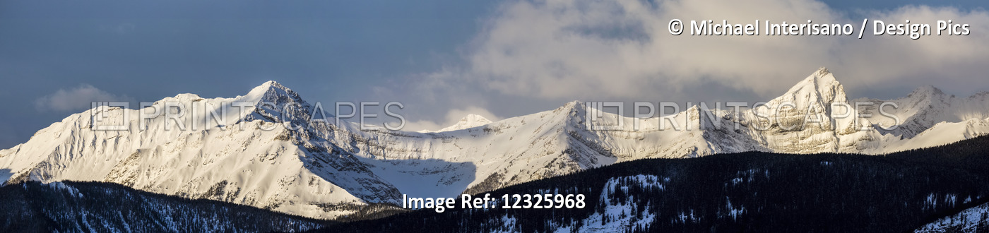 Panorama Of Snow Covered Mountains With Early Morning Light, Silhouetted Forest ...