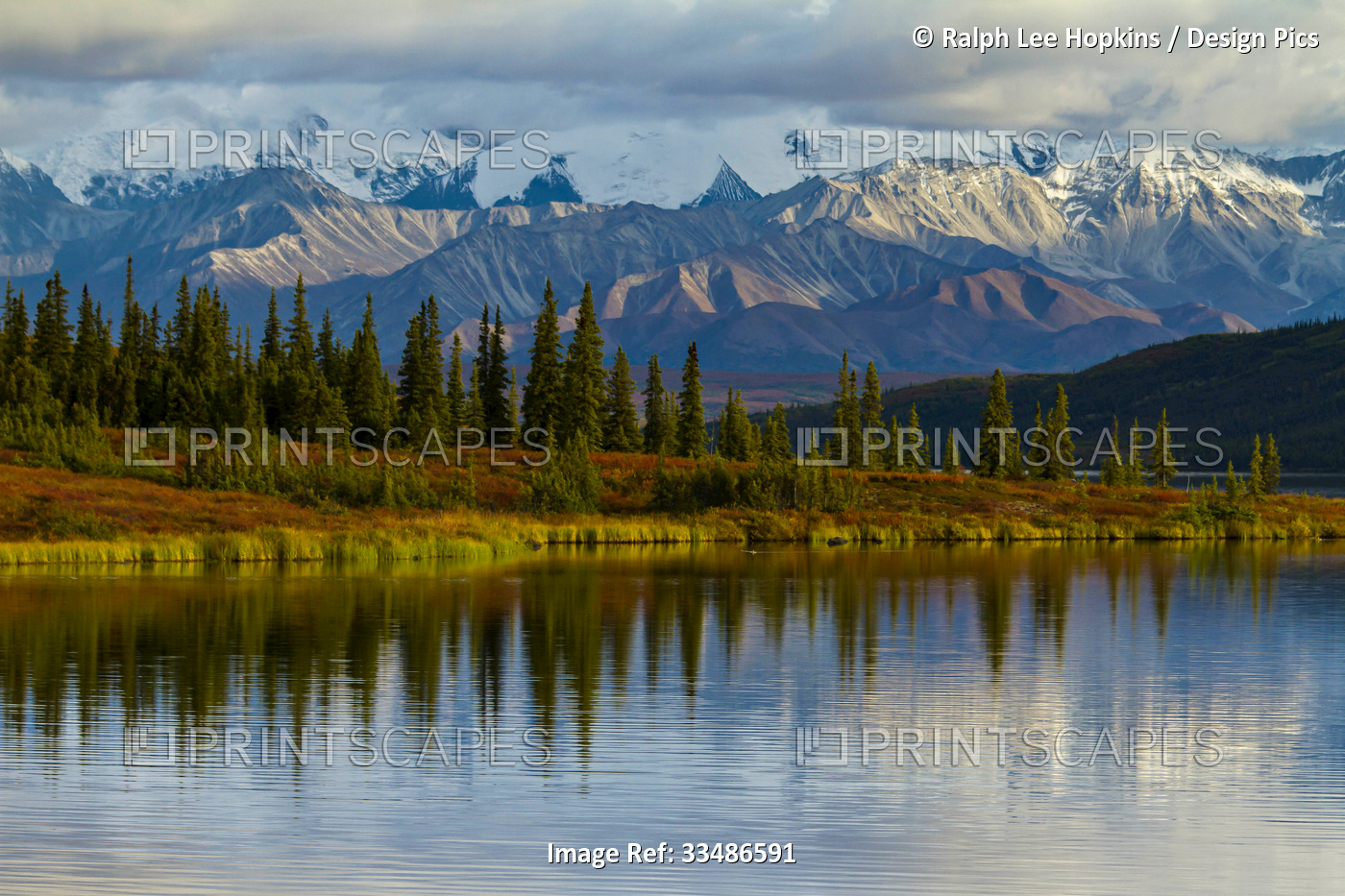 Trees reflected in the surface of Wonder Lake in Denali National Park.